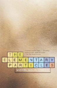 the elementary particles