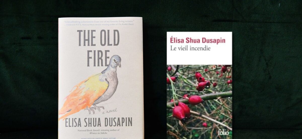 The Albertine Book Club Reads "The Old Fire" by Elisa Shua Dusapin
